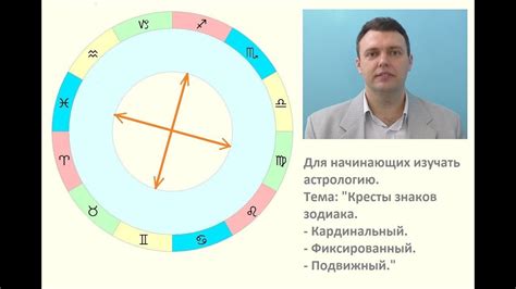 Первые шаги: изучение пропорций лица