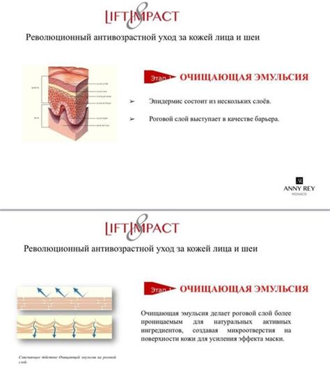 Первый этап: нанесение основной композиции