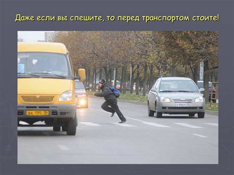 Перебежка перед транспортом