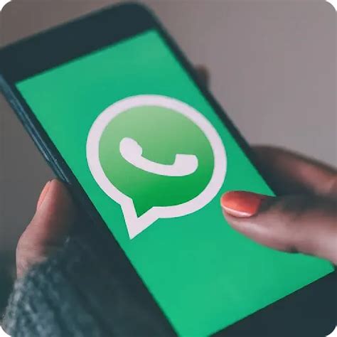 Передача данных WhatsApp на новый телефон