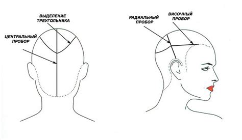 Переход на другие методы стрижки