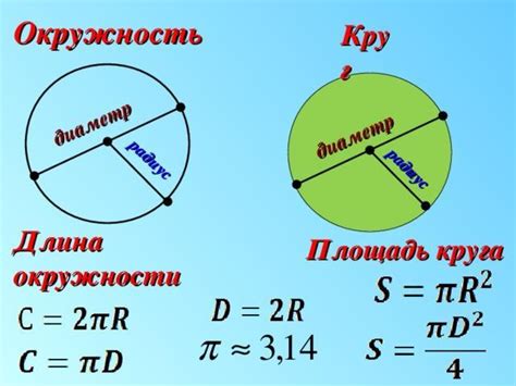 Периметр круга: как найти его с помощью радиуса или диаметра