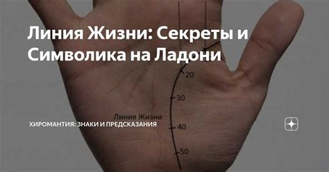 Пернатые символы на руке: известные значение