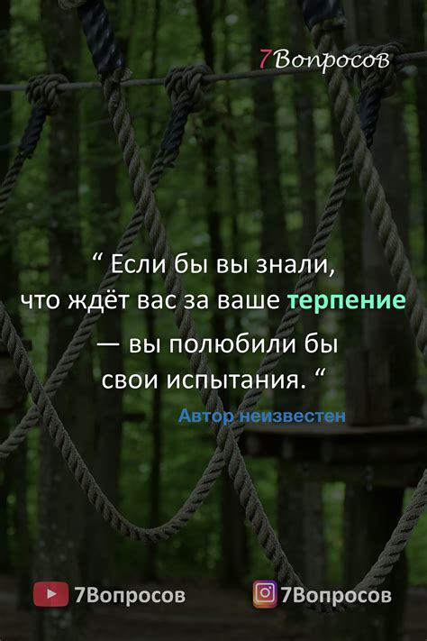 Персистентность и терпение