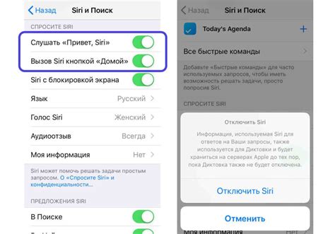 Персонализация настроек Сири на iPhone 13 Pro