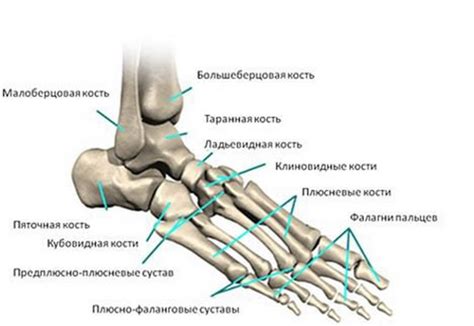 Перспективные методы лечения повреждений пятки