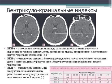 Перспективы исследования кортикальной церебральной атрофии