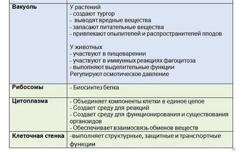 Перспективы исследования органоидов в биологии