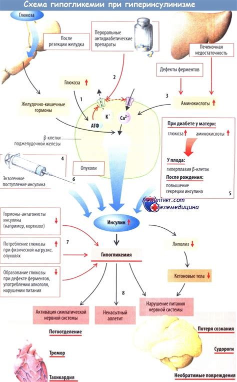Перспективы развития лечения транзиторной гипогликемии