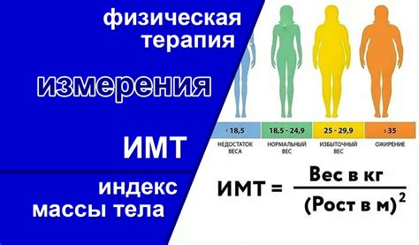 Питание и ИМТ: Как изменить индекс массы тела