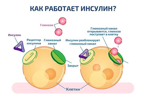 Питание и глюкоза