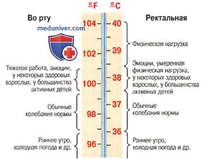 Питание и температура тела: взаимосвязь и рекомендации