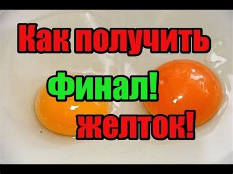 Питание как фактор яркости окраски желтого желтка