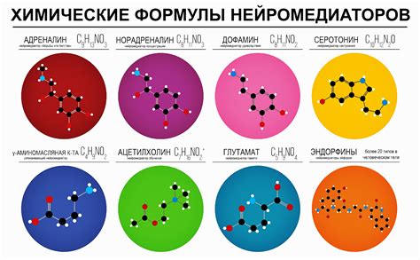 Питание с vital факторами для повышения энергии