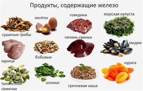 Питательные продукты для красивой эпидермиса