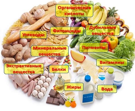 Пищевая ценность продуктов и причины различия в их гликемическом индексе