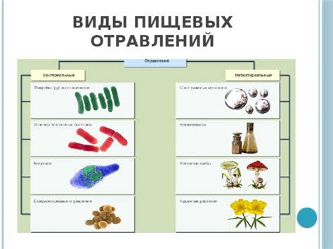 Пищевые отравления и недостаток гигиены