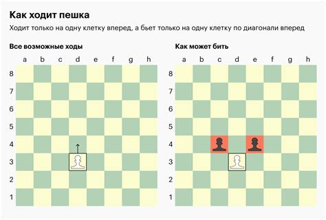 Плагин шахматы: пошаговая установка для новичков