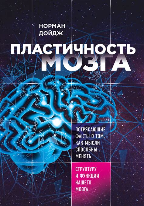 Пластичность мозга: способность к обучению и перестройке