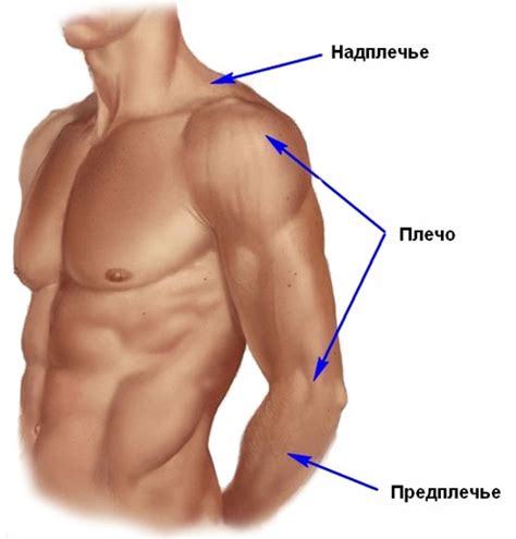 Плечо как место татуировки