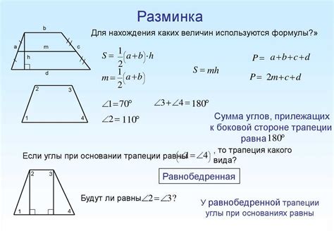 Площадь и высота трапеции: основные понятия