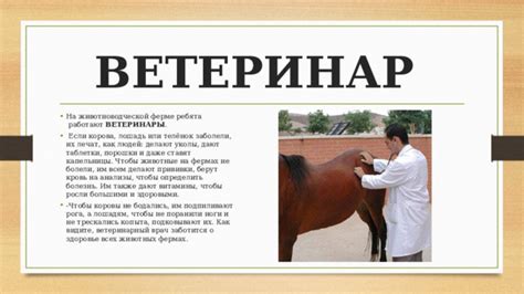 Побочные требования при покупке коровы: ветеринарный осмотр и прививки