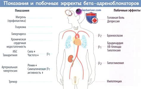 Побочные эффекты и их минимизация