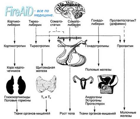 Побочные эффекты и ограничения использования