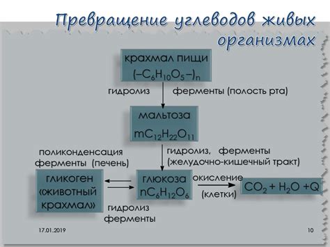 Поведение органических и неорганических соединений