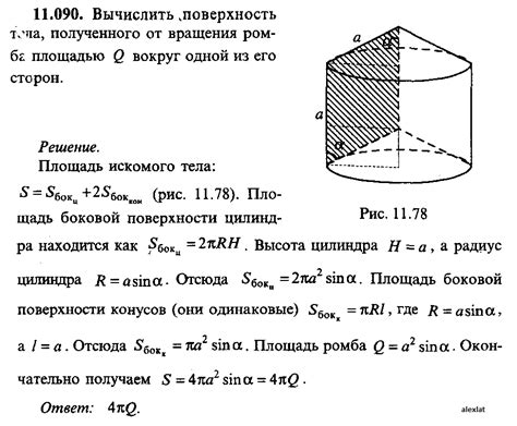 Поверхность тела