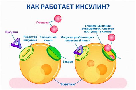 Повышение эффективности приема кислорода