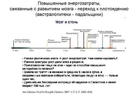 Повышенные энергозатраты