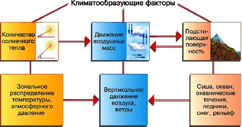 Погодные условия и климатические факторы, влияющие на кедр