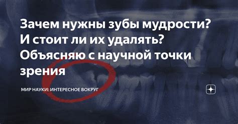 Подарки в ВКонтакте: зачем они нужны и как их удалять