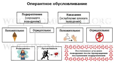 Подача и подкрепление: