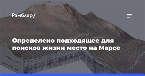 Подберите подходящее место для хризантем