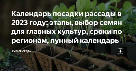 Подбор оптимального положения для растения