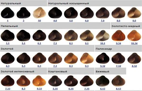 Подбор правильного оттенка краски для коррекции цвета