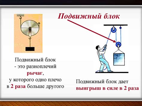 Подвижный и неподвижный блок: сравнение основных отличий