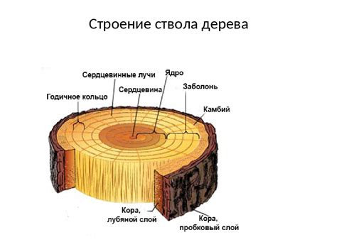 Подгонка кусочка дерева