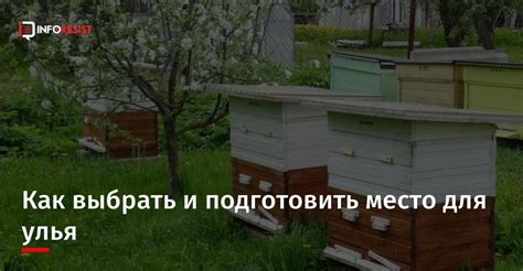 Подготовить место для улья