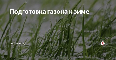 Подготовка газона к зиме: пошаговая инструкция