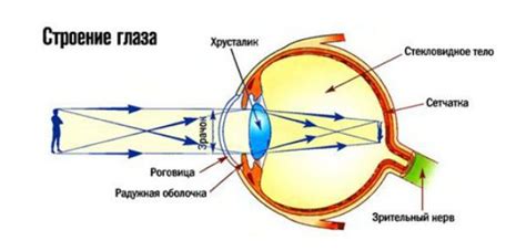 Подготовка глаз