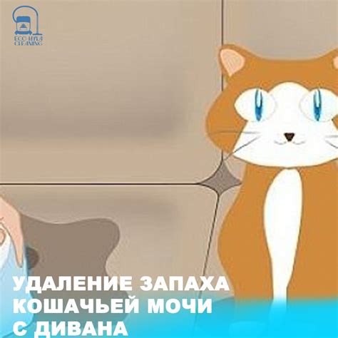 Подготовка дивана к удалению кошачьей мочи