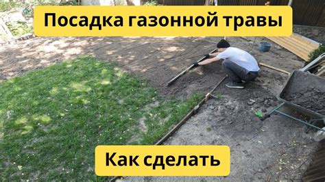 Подготовка земли и посадка культур