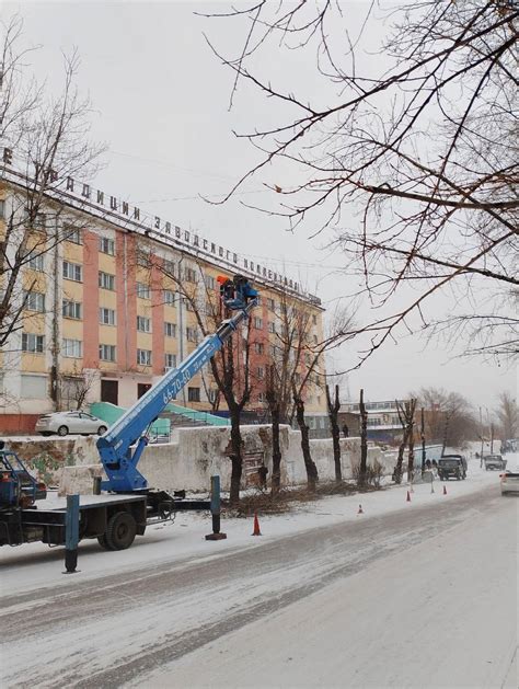 Подготовка ирисов к весне