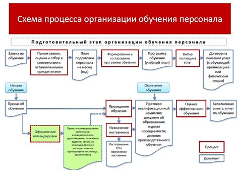 Подготовка и разработка тренировочных программ