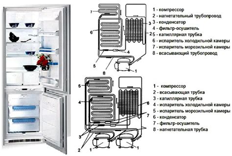 Подготовка и установка холодильника Атлант двухкамерного