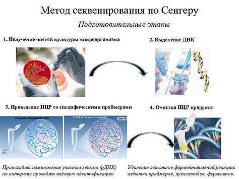 Подготовка и хранение образцов ДНК