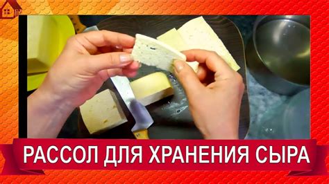 Подготовка и хранение рассола для сыра брынза: советы профессионалов